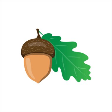 Kudretli Meşe Ağacının Meşe Tohumu