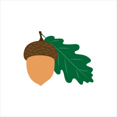 Kudretli Meşe Ağacının Meşe Tohumu