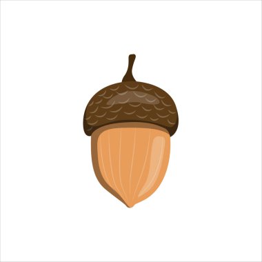 Kudretli Meşe Ağacının Meşe Tohumu