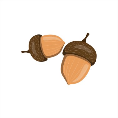 Kudretli Meşe Ağacının Meşe Tohumu