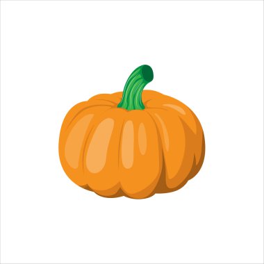 Taze Sonbahar Balkabağı Kırsal Ayarlarda Hasat