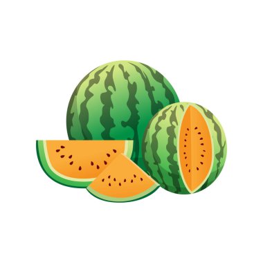 Renkli Sarı Karpuz Vektör Sanatı