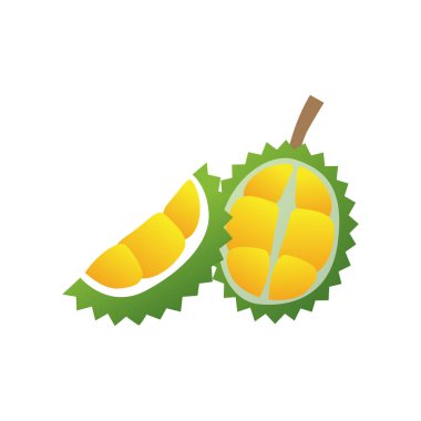 Egzotik Durian Meyvesinin Vektör İllüstrasyonu