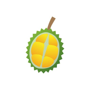 Egzotik Durian Meyvesinin Vektör İllüstrasyonu