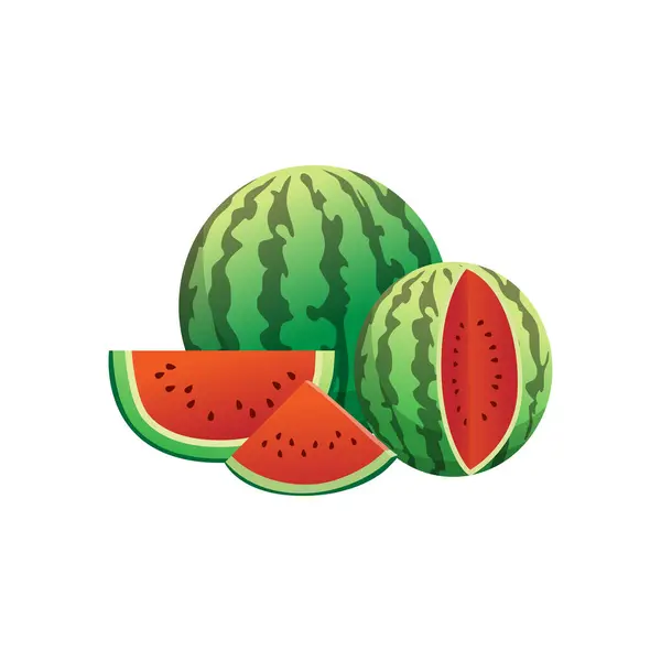 stock vector Red Watermelon Freshness Illustrated in Artwork