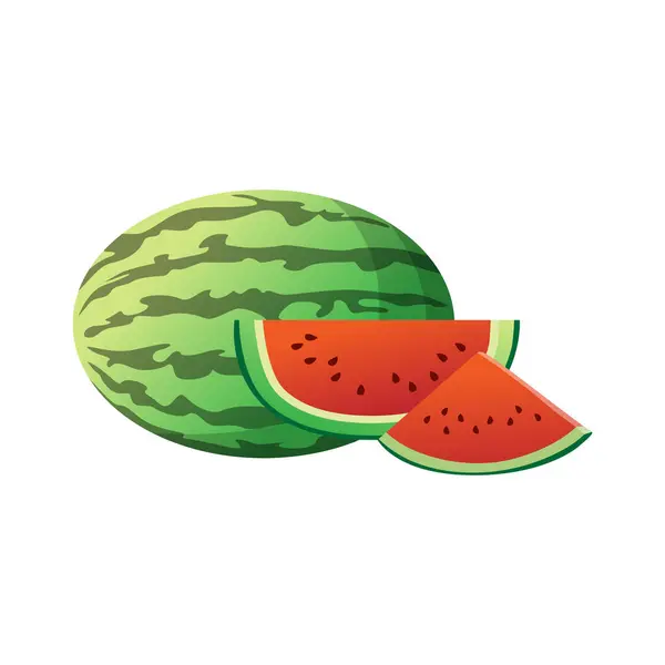 stock vector Red Watermelon Freshness Illustrated in Artwork