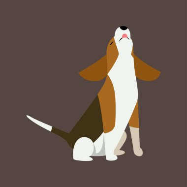 Jack Russell Teriyer Vektör Resimleri Çeşitli Pozisyonlarda