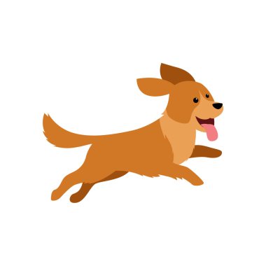 Golden Retriever Köpek Vektör Çizim Koleksiyonu