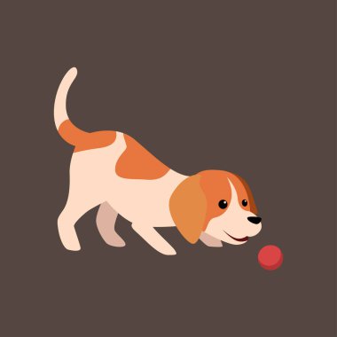 Jack Russell Teriyer Vektör Resimleri Çeşitli Pozisyonlarda