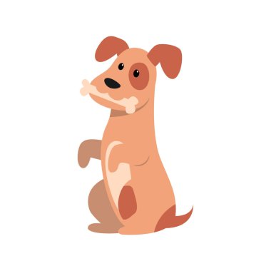 Sevimli Köpek Vektörleri Şirin Tarzların Çeşitliliğini Gösteriyor