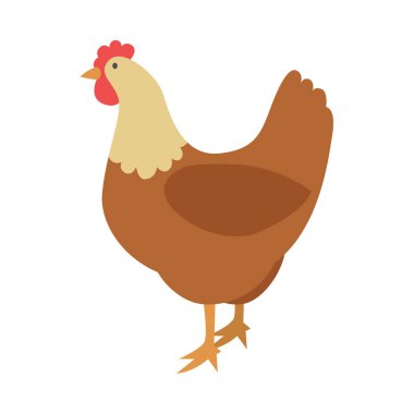 Çiftlik Tasarımı için Renkli Horoz Vektör İllüstrasyonu