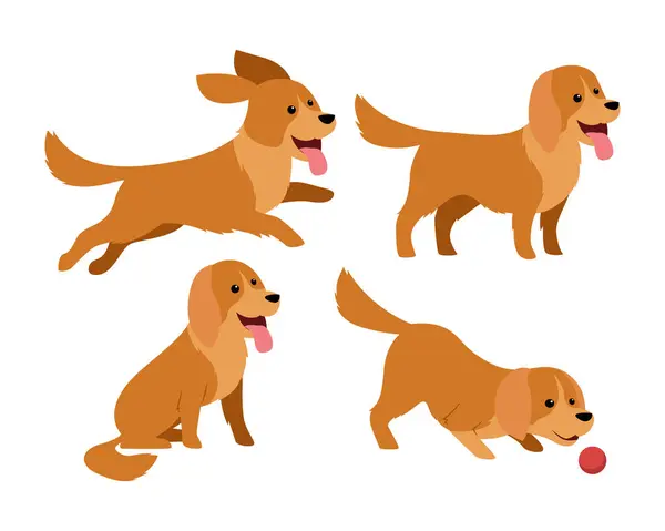 stock vector Diverse Styles Golden Retriever Dog Vector Artwork