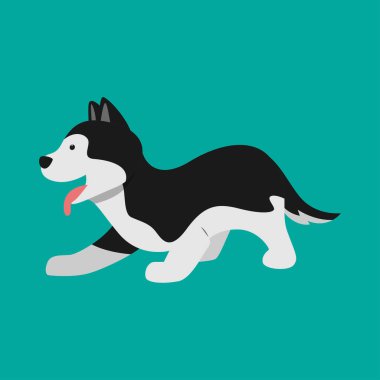Tapılası Sibirya Husky Köpek Vektör İllüstrasyonu