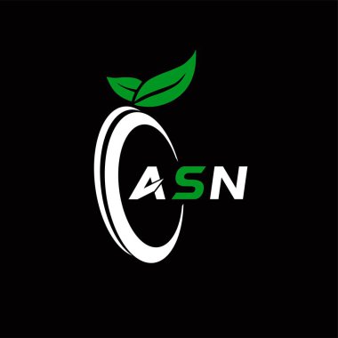 ASN yaratıcı minimalist harf logosu. ASN eşsiz vektör baş harfleri alfabe harf logosu tasarımı 