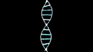 Biyolojik mühendislik gen modifikasyonu GDO genetiği değiştirilmiş organizma.