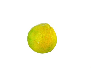 Citrus fruits isolated. single object of Lemon or lime on a white background. almost cooked clipart