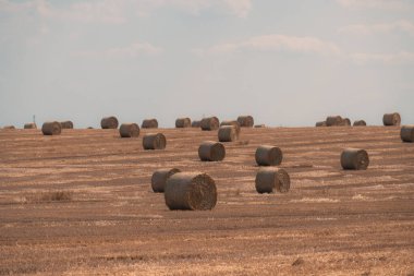 Çek, Lutin, 2024-07-19, saman balyaları, hasat, tarım, tarım ürünleri
