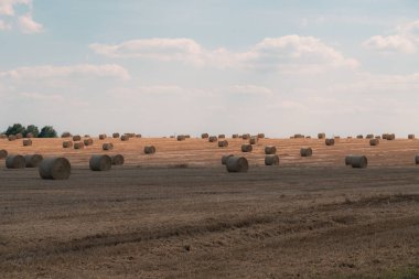 Çek, Lutin, 2024-07-19, saman balyaları, hasat, tarım, tarım ürünleri