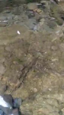Büyük kayalık tabanlı nehir akışını temizle, makaralar veya kısa video içeriği yapmak için uygun
