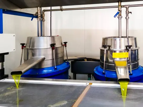 Yunanistan 'da zeytin yağı üretim safhaları
