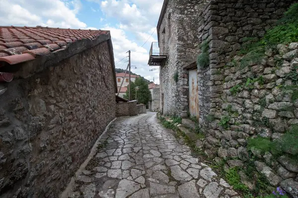 Karytaina, Yunanistan - 20 Şubat 2025 Geleneksel ve tarihi bir köy.