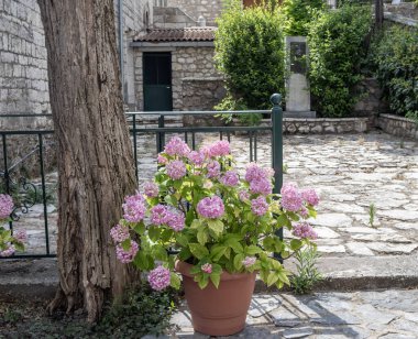 Stemnitsa, Yunanistan - 12 Temmuz 2025 Yunanistan Arcadia 'da Dimitsana yakınlarında yer alan geleneksel ve tarihi bir köydür..