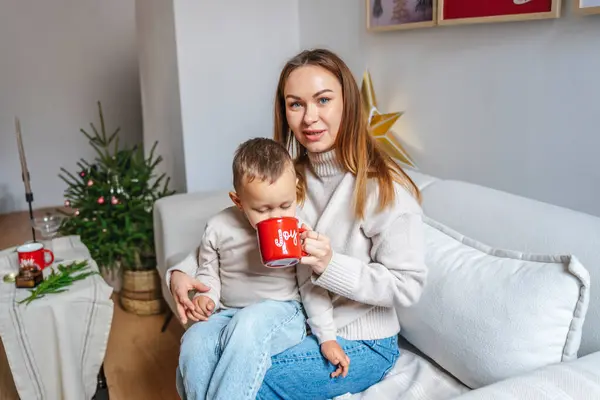 Bir anne ve küçük oğlu Noel 'i birlikte kutluyorlar. Güzel dekore edilmiş bir Noel ağacının yanındaki rahat bir halıda oturuyorlar. Şenlikli süslerle, peri ışıklarıyla ve hediyelerle. Sıcak ve...