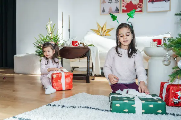 Aile dekore edilmiş Noel ağacının yanında kaliteli zaman geçiriyor. Çocuklar hediyeleri açıyor, oynuyor ve Noel ve Yeni Yıl 'ın şenlikli atmosferini kutluyor..