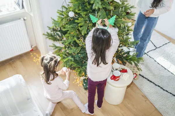 Aile dekore edilmiş Noel ağacının yanında kaliteli zaman geçiriyor. Çocuklar hediyeleri açıyor, oynuyor ve Noel ve Yeni Yıl 'ın şenlikli atmosferini kutluyor..