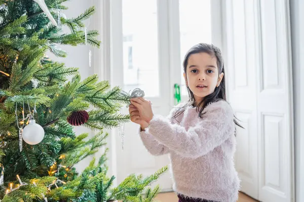 Aile dekore edilmiş Noel ağacının yanında kaliteli zaman geçiriyor. Çocuklar hediyeleri açıyor, oynuyor ve Noel ve Yeni Yıl 'ın şenlikli atmosferini kutluyor..