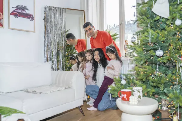 Aile dekore edilmiş Noel ağacının yanında kaliteli zaman geçiriyor. Çocuklar hediyeleri açıyor, oynuyor ve Noel ve Yeni Yıl 'ın şenlikli atmosferini kutluyor..