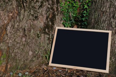 Ağaç gövdesi ve sarmaşık yapraklarına karşı ahşap çerçeveli boş karatahta