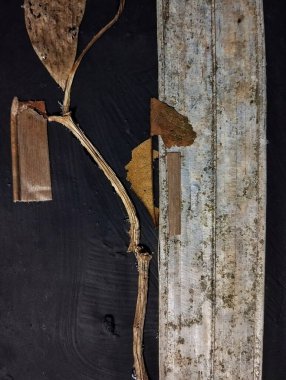 Sanatsal el yapımı kolaj ölü yapraklar doğanın sanat fikirleri