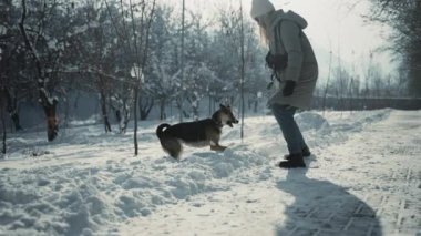 Dostluk dansında, köpek sevgili sahibinin attığı kartoplarının peşinden koşar, aralarındaki güçlü bağı gösterir ve karlı günün tadını paylaşır. Yüksek kalite 4k görüntü