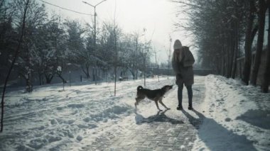 Sadık sahibi köpeği karda başarılı bir hile yaptığı için ödüllendiriyor. Soğuk kış günlerinde bile paylaşılan hayvan eğitiminin ve aktif yaşam tarzının neşesini vurguluyor. Yüksek kalite 4k görüntü
