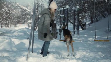 Melez köpek bir aile tarafından barınaktan evlat edinilmiş gibi görünüyor ve şimdi de köpek sahibi emirlere uymak için evcil hayvan eğitiyor. Sabahın erken saatlerinde boş kış parkında, köpek salıncağın üzerinden atlar. Yüksek kalite 4k