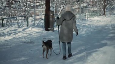 Paltodaki yalnız figür kar yüklü parkta tasmalı köpeğe yol gösteriyor, kış neşesinin ve evcil hayvan arkadaşlığının özünü yakalıyor. Yüksek kalite 4k görüntü