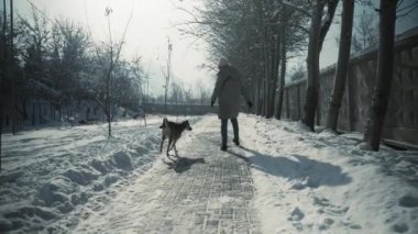 Kar parkında bir kadının köpeğini tasmasız gezdirdiği yerde. Kar etraflarında sürükleniyor, güneşli havalar sahibini ve evcil hayvanını mutlu ediyor.