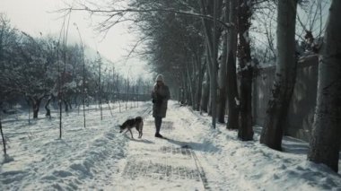 Yakın zamanda evlat edinilen köpek, karlı yürüyüşlerden zevk alıyor. Sevgi dolu yeni sahibinin yanında teselli ve sıcaklık buluyor. Hayatına taze ve umut dolu bir başlangıç yapıyor. Yüksek kalite 4k görüntü