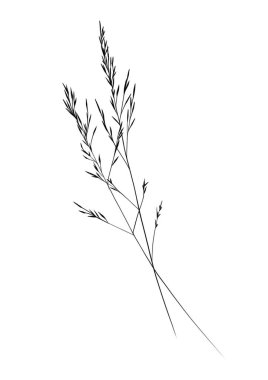 Beyaz arkaplanda çimen olan dal