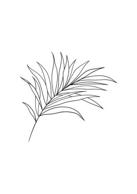 Tropikal palmiye yaprağının vektör çizimi