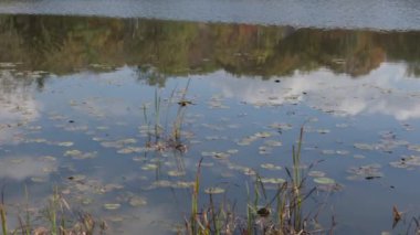  Sonbaharda göldeki yansımalar