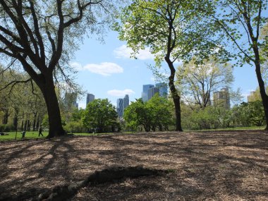 New York, New York, ABD - 04-13-2012: güneşli bir bahar gününde Central Park 'ta