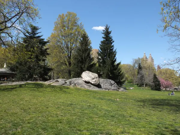 Central Park 'ta güneşli bir bahar gününde
