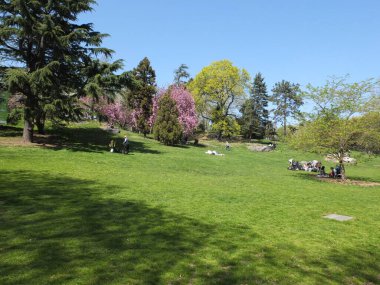 New York, New York, ABD - 04-13-2012: güneşli bir bahar gününde Central Park 'ta