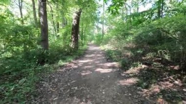 Sonbaharın başında parkta yürüyüş.