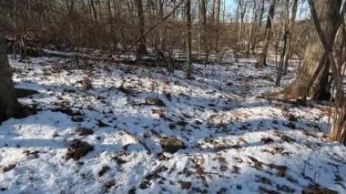 Kışın parktaki donmuş patikada yürüyüş.