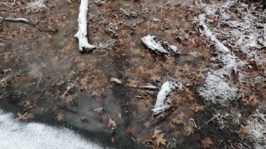 Ocak ayında bataklıkta kar yağıyor.