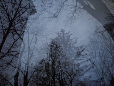 kompozit: ağaçlar kışın ağaçlar ve evlerde birbirine karışır