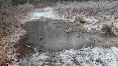 Büyük bataklıkta kar tozuyla yürüyüş